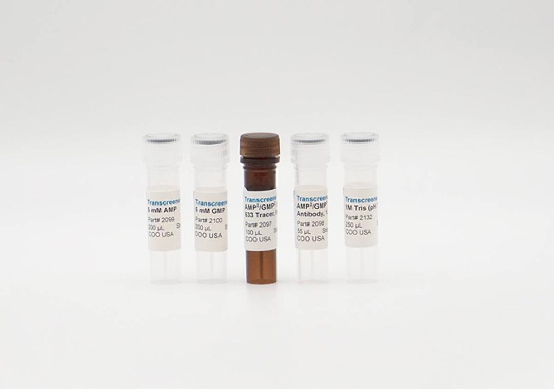 FP AMP/GMP Phosphodiesterase