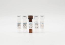 FP AMP/GMP Phosphodiesterase