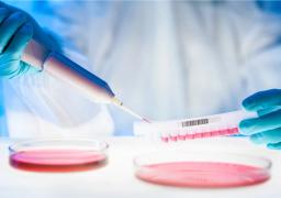 One-Stop Solid Tumor Targeting CAR-T Development Solutions