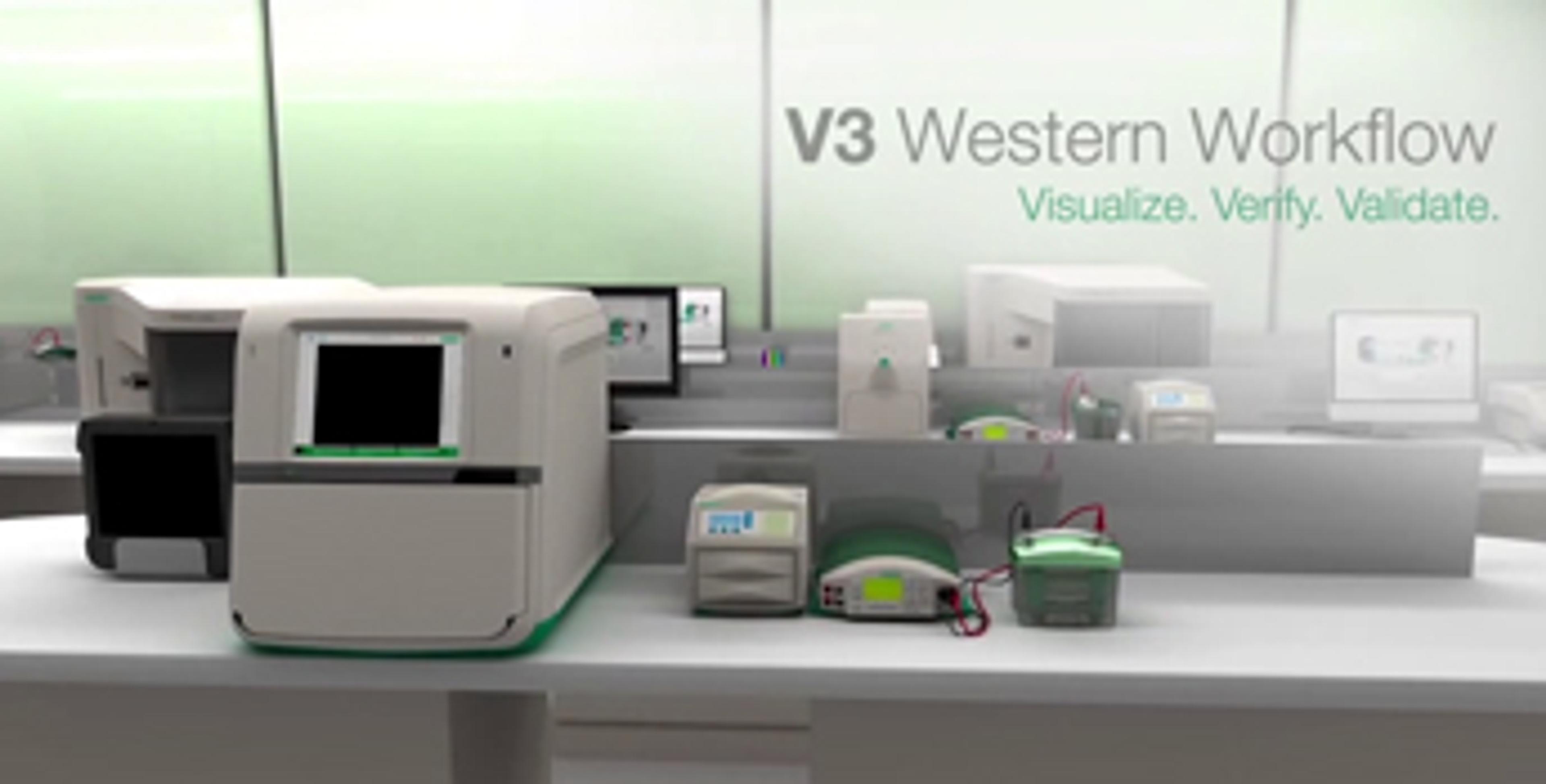 Introducing the V3 Western Workflow™ with ChemiDoc™ Touch Imaging System Introducing the V3 Western Workflow™ with ChemiDoc™ Touch Imaging System