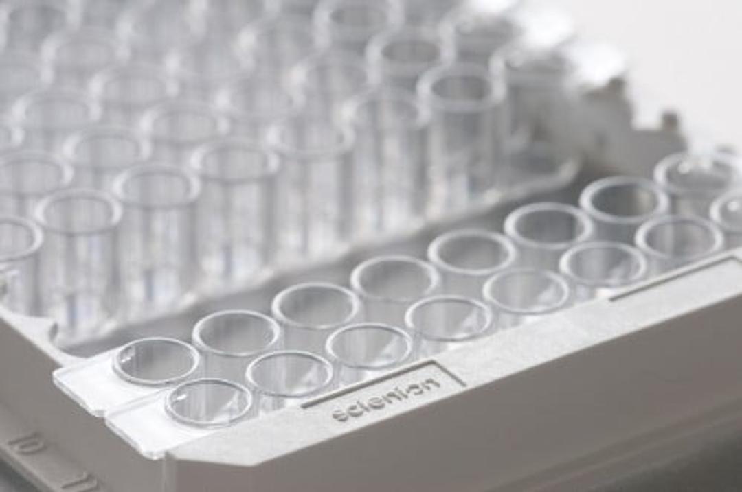 All you need for successful experiments