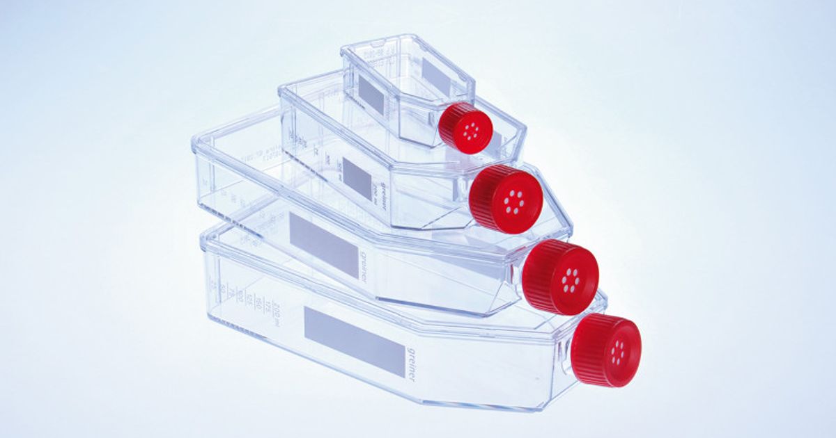 Buy CELLSTAR® Filter Cap Cell Culture Flasks Read Reviews