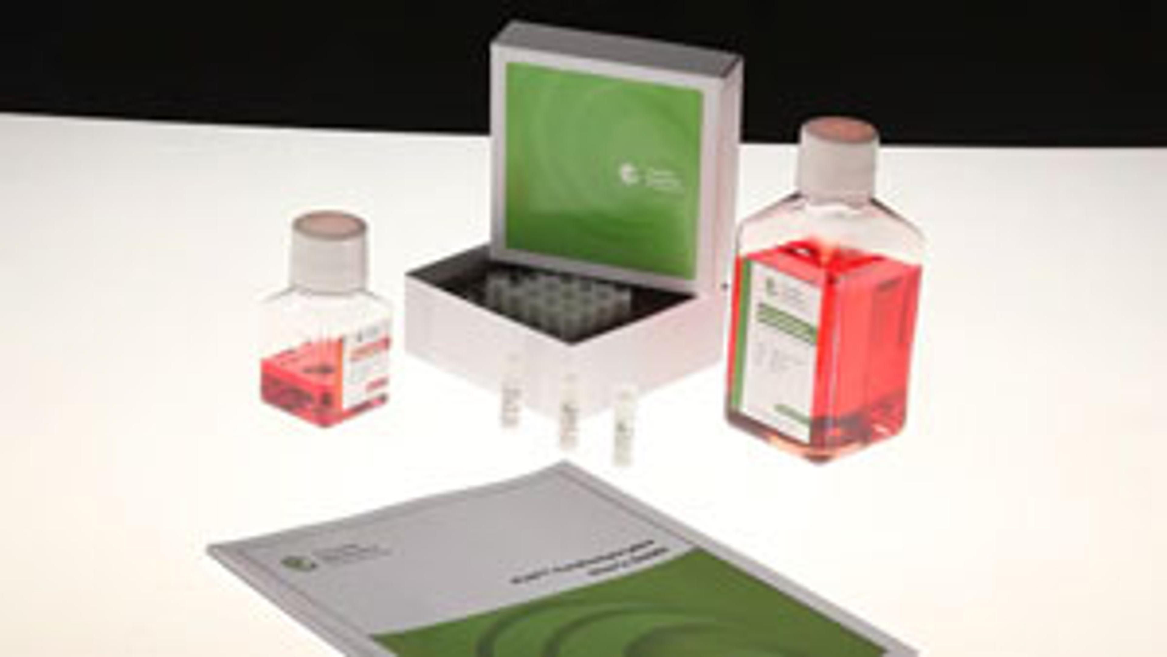 Cellular Dynamics: Handling iCell® Cardiomyocytes Cellular Dynamics: Handling iCell® Cardiomyocytes