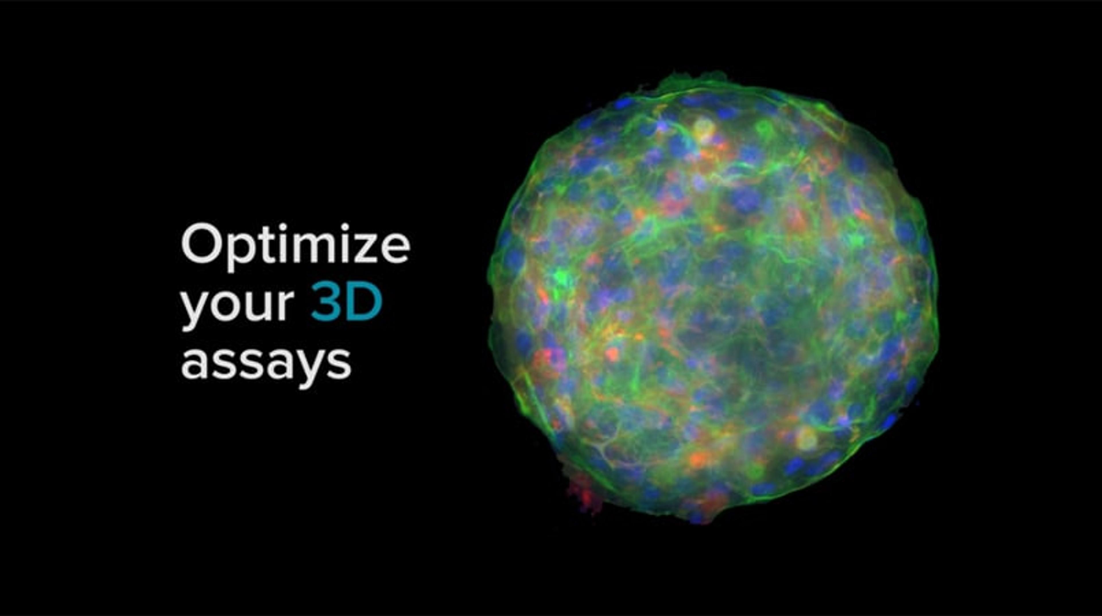 Optimize Your 3D Assays with ImageXpress Optimize Your 3D Assays with ImageXpress