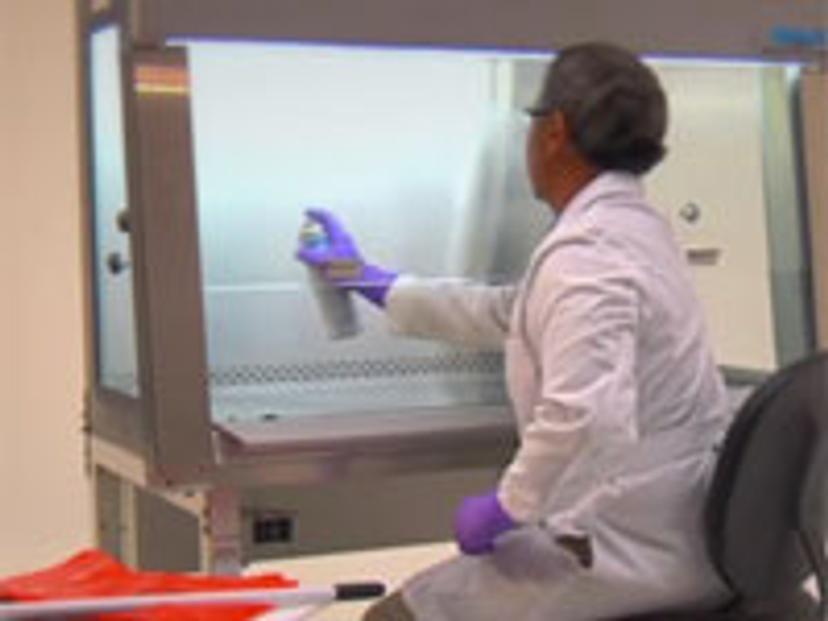 Scientist cleaning biosafety cabinet