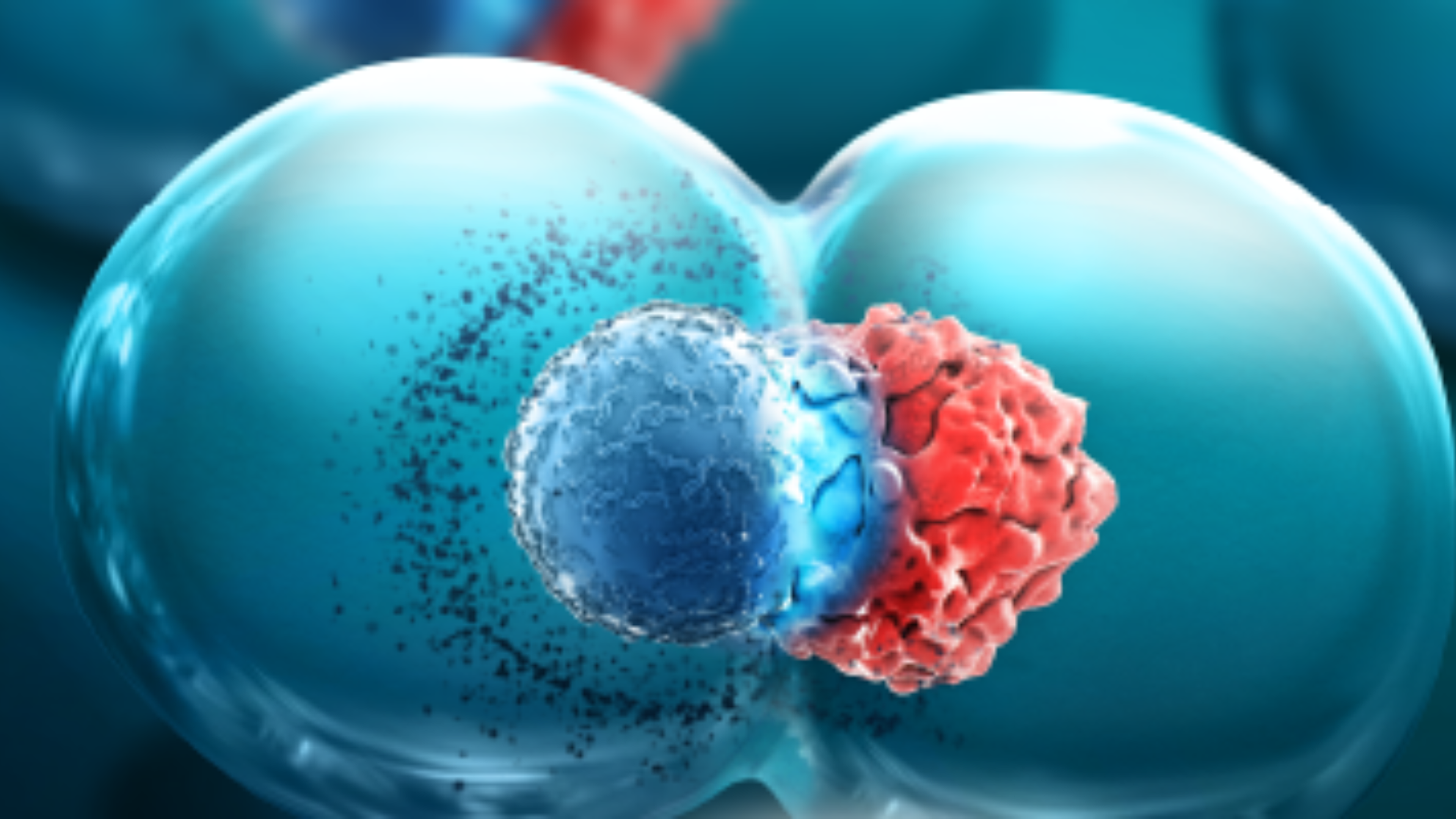 Lightcast: Discover single-cell interactions and functional behaviors at scale Lightcast: Discover single-cell interactions and functional behaviors at scale