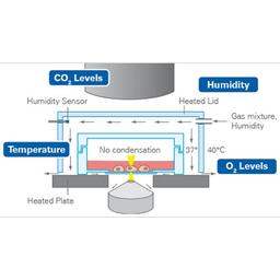 In Vivo-Like Conditions on a Microscope