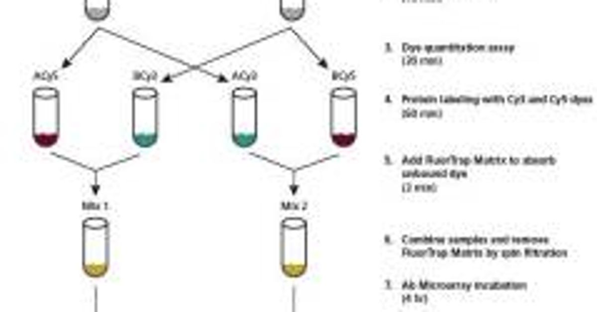 Antibody Array Nanoscale Buffer Kit
