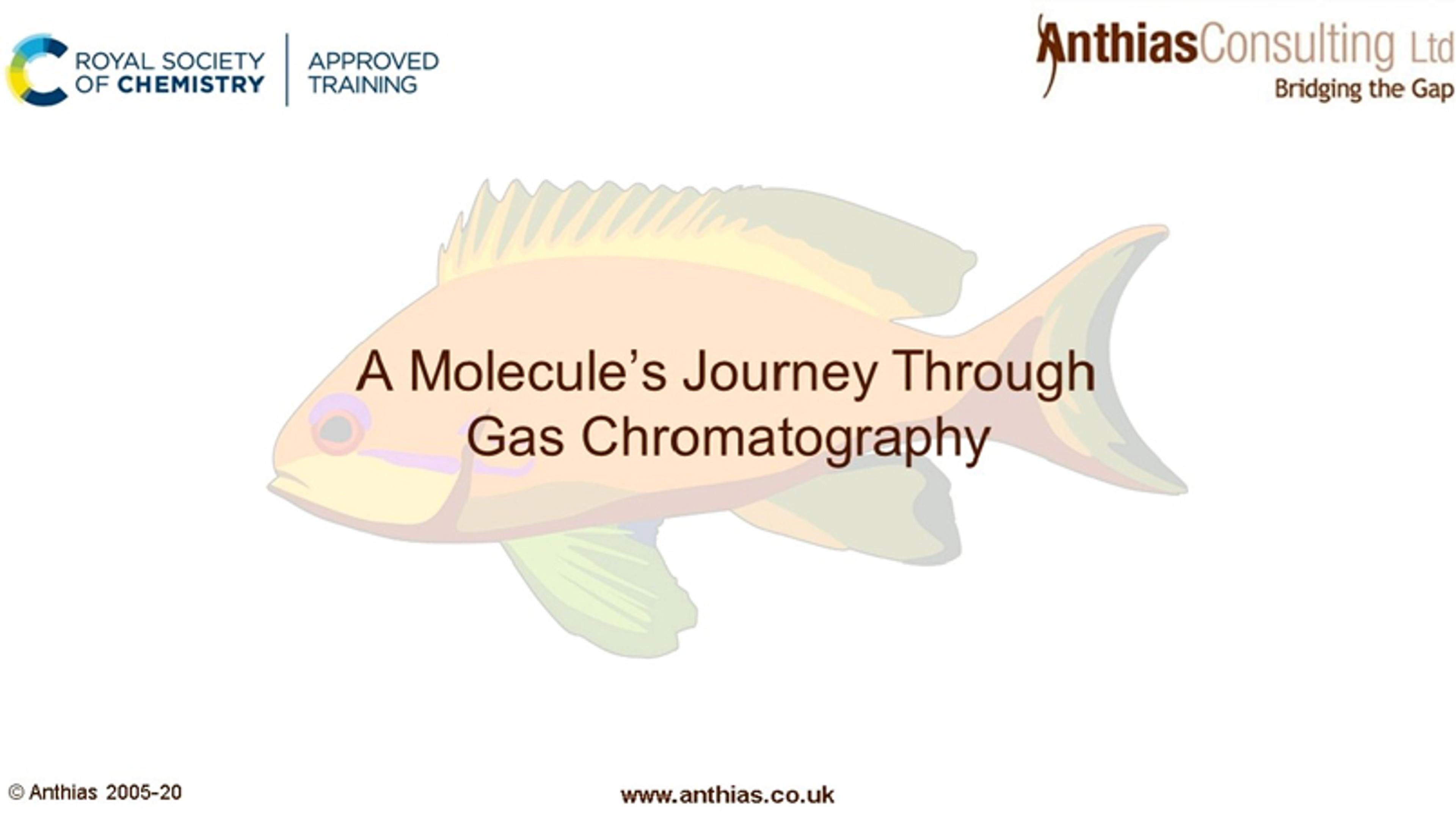 A molecule's journey through gas chromatography A molecule's journey through gas chromatography