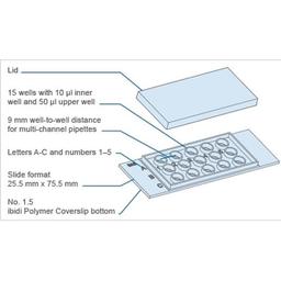 Key Features of the µ-Slide Angiogenesis