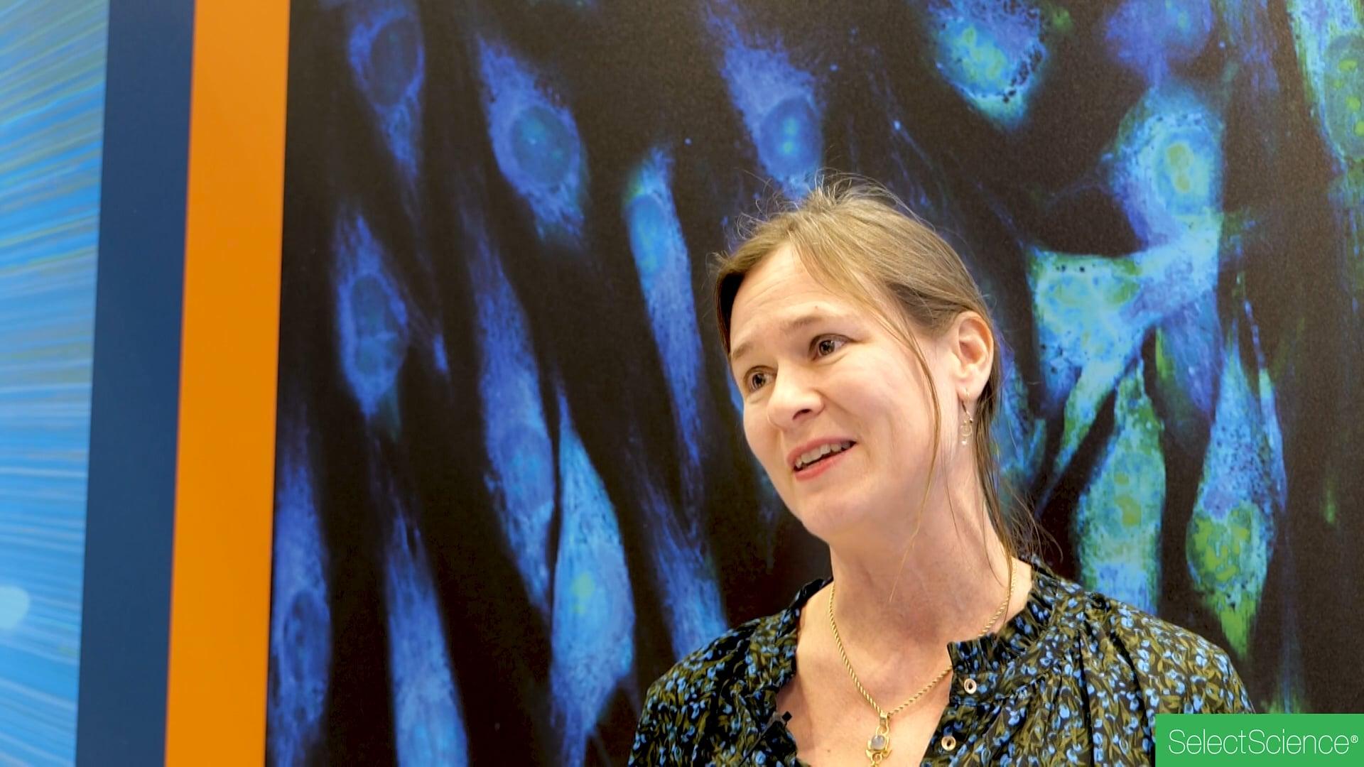 NovoCyte Opteon Spectral Flow Cytometer Systems 3-5 Lasers RUO ...