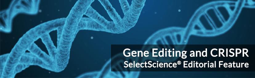 Gene Editing and CRISPR Special Feature