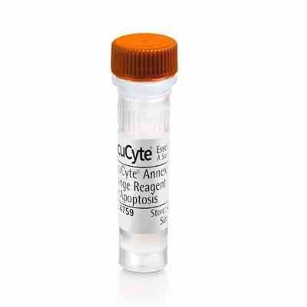 Annexin V Orange Reagent for apoptosis