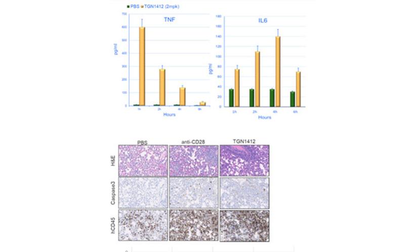 Evidence-based selection of the starting dose in first-in-human clinical trials using humanized mouse models