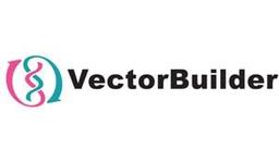 VectorBuilder