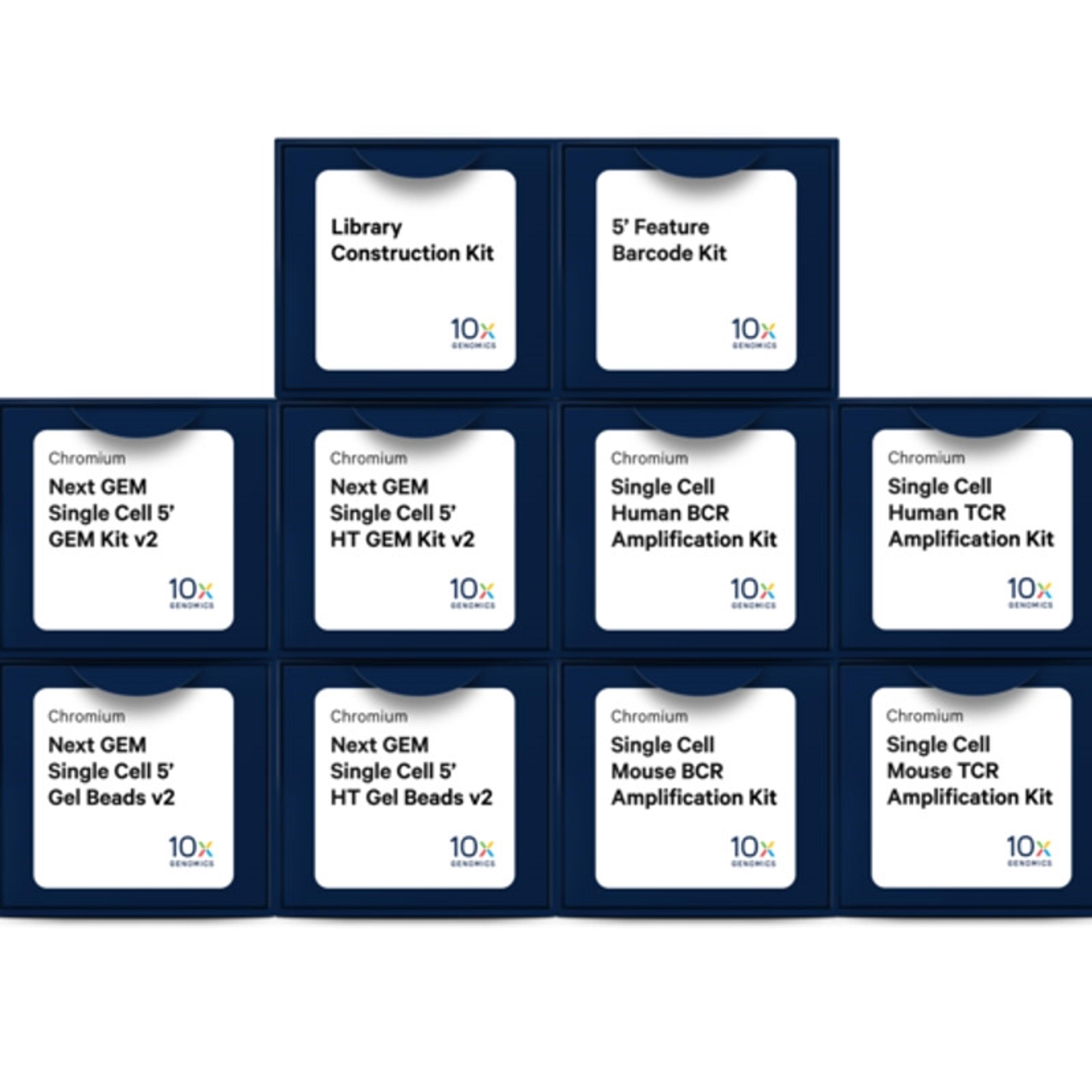 Multiomic profiling of immune diversity