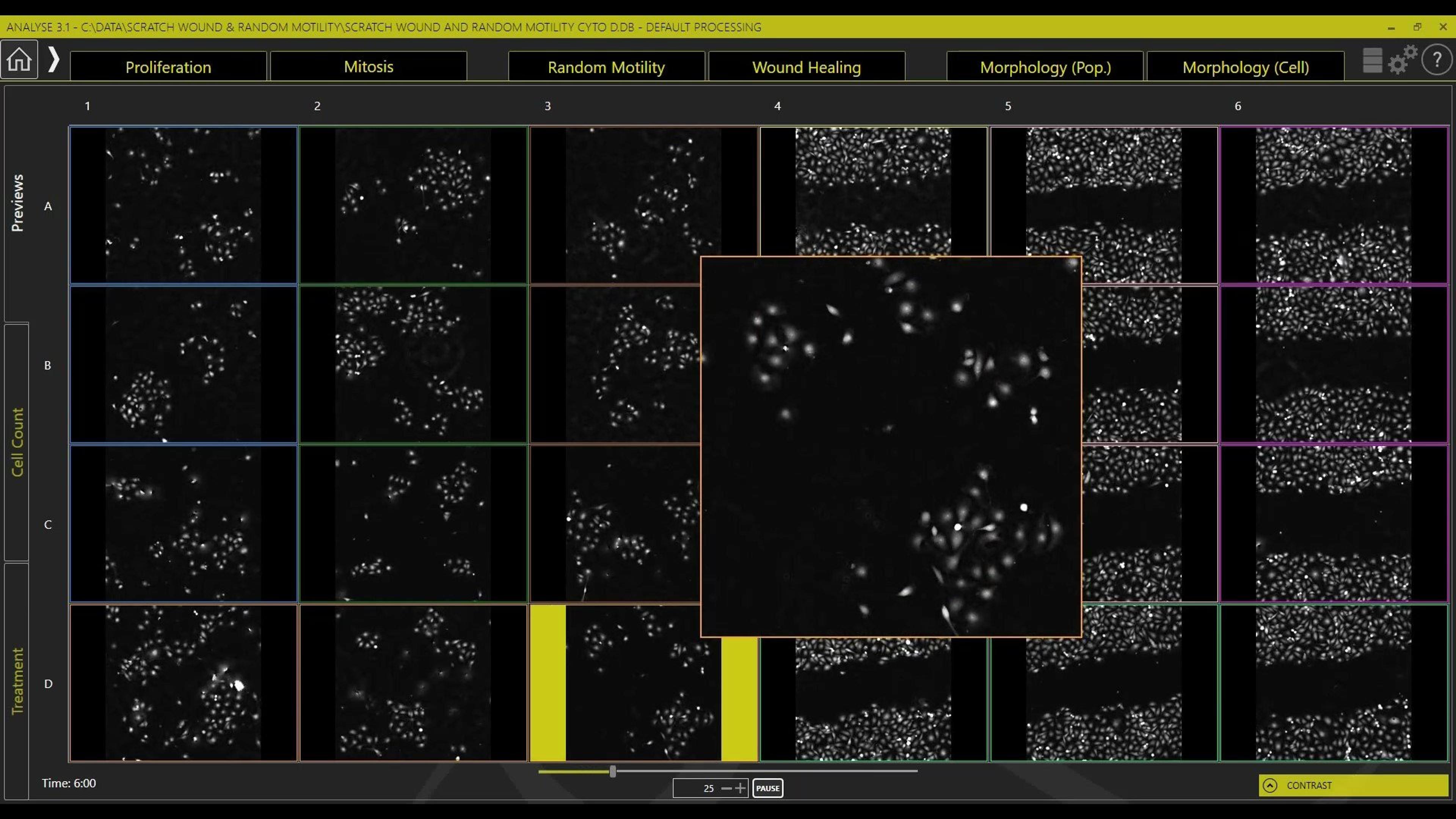 Assays on Livecyte Assays on Livecyte