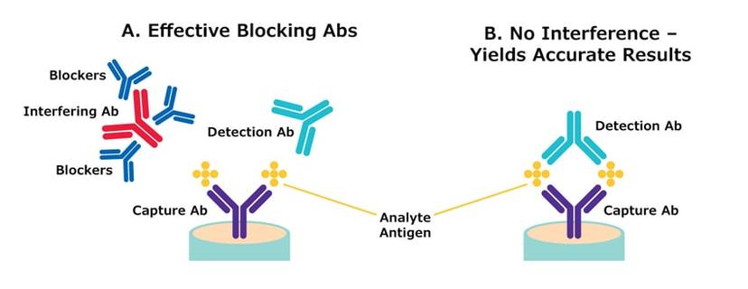 Diagram of blocking Abs reducing the possibility of false positive and negative test results in clinical assays