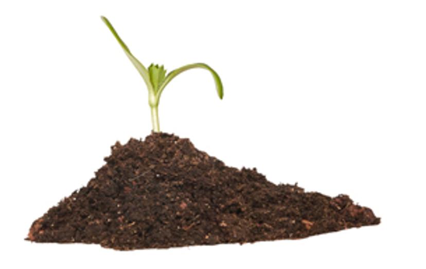 Image of soil