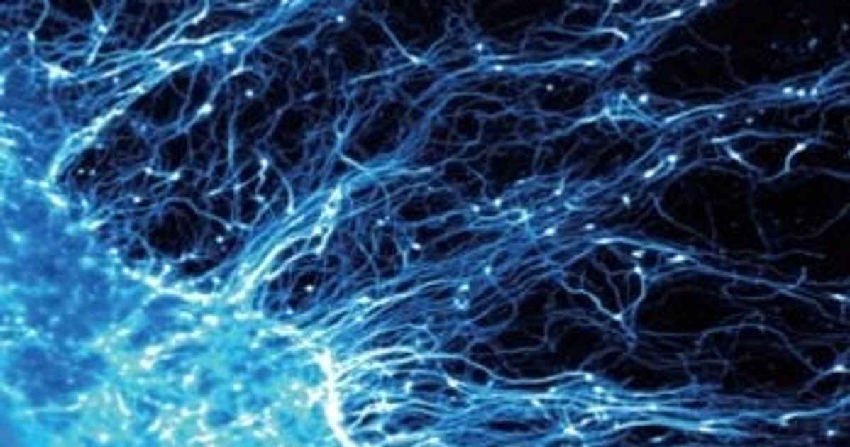 Low Adhesion Plates Help Culture Light Responsive Retinal Organoids