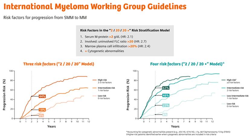 IMWG Guidelines Risk Stratification Model