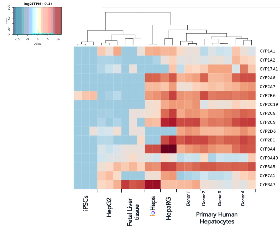 bit.bio_ioHepatocytes_bulk-rna-seq_benchmarking_phase-I