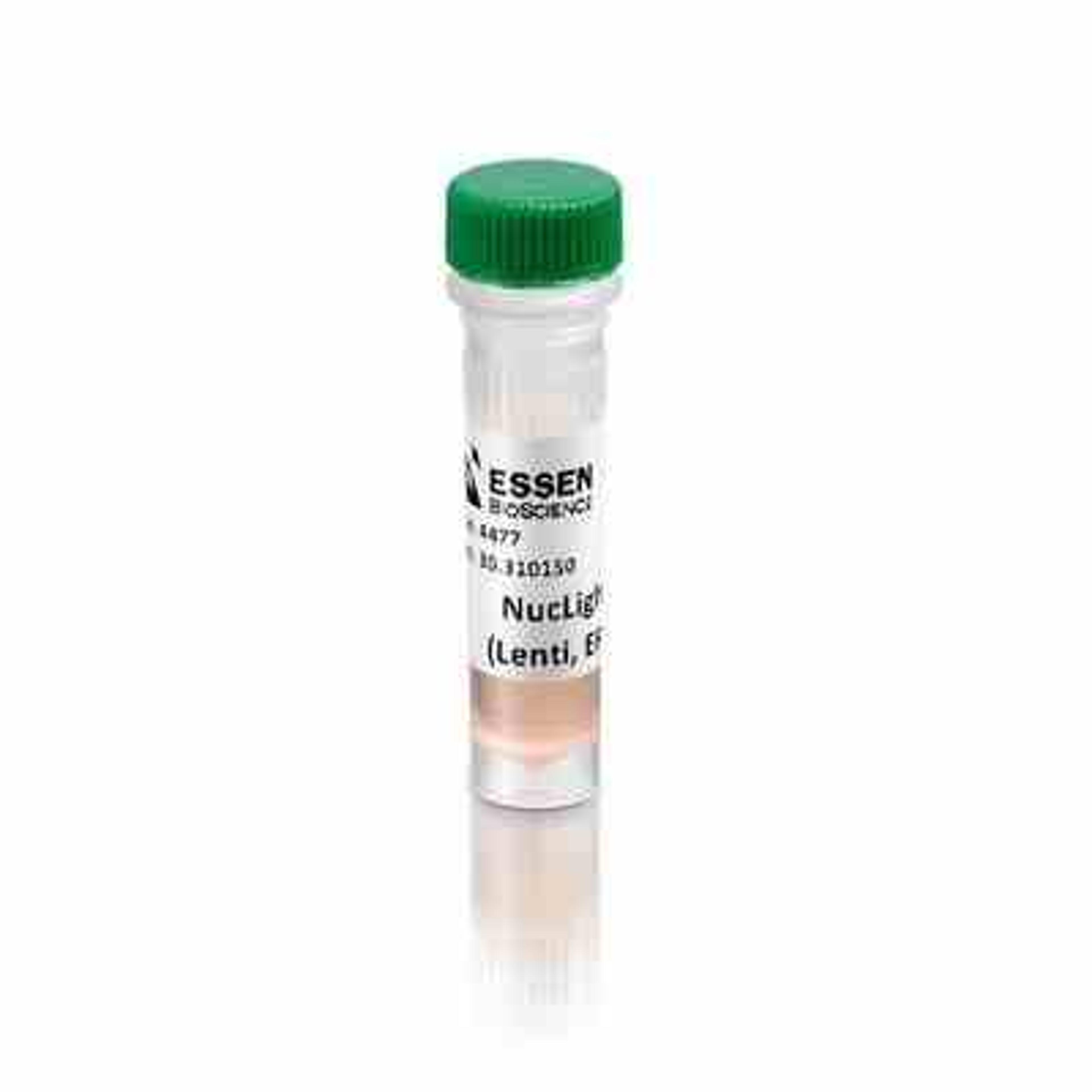 NucLight Green Lentivirus Reagent