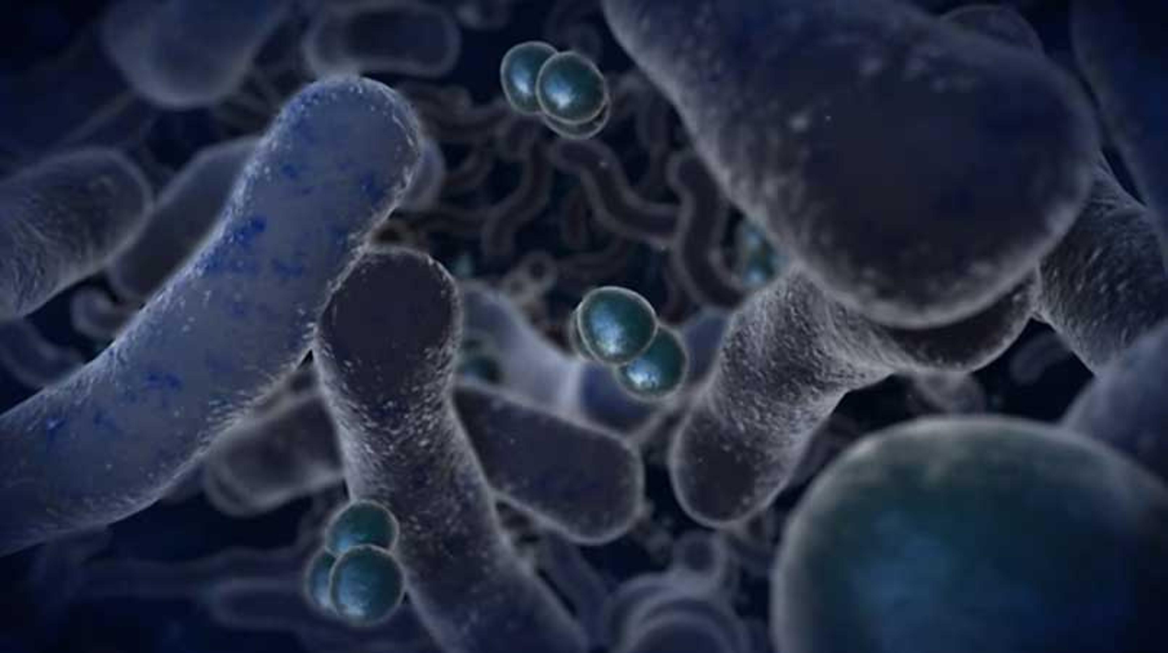 The Importance of Culturing Cells in Hypoxia The Importance of Culturing Cells in Hypoxia