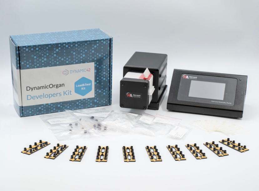 Dynamic42 opens new possibilities for tissue-based drug research