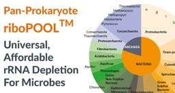 Pan-Prokaryote riboPOOL