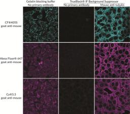 Gelatin and TrueBlack IF comparison.