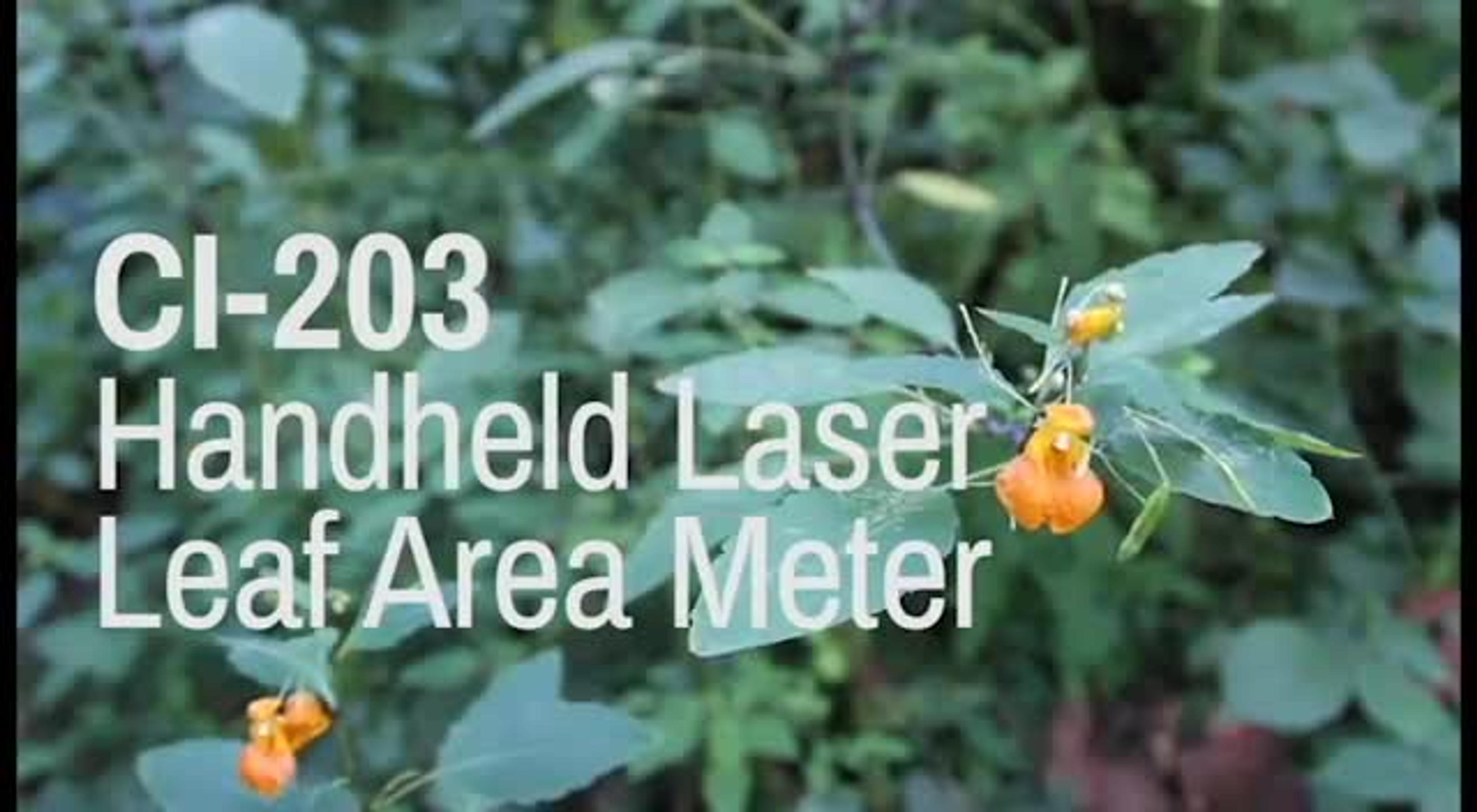 CI 203 Handheld Laser Leaf Area Meter CI 203 Handheld Laser Leaf Area Meter