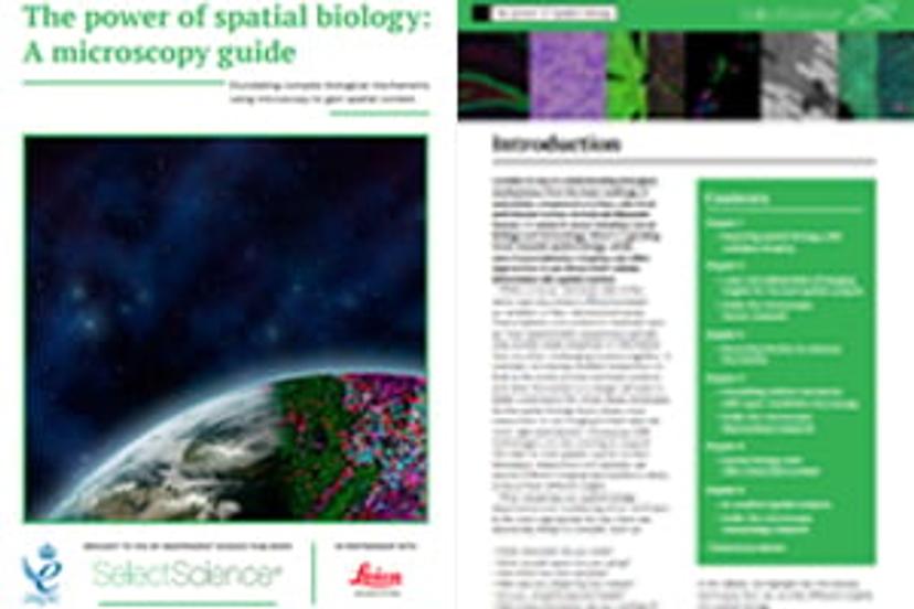 The power of spatial biology: A microscopy guide