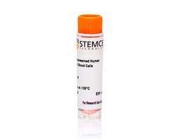Human Cord Blood Pan-T Cells, Frozen
