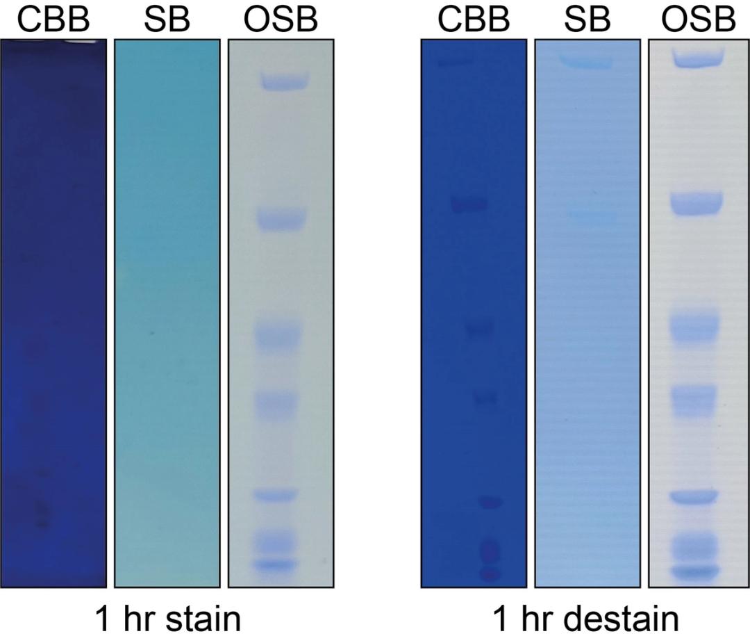 One-Step Blue (OSB) comparison