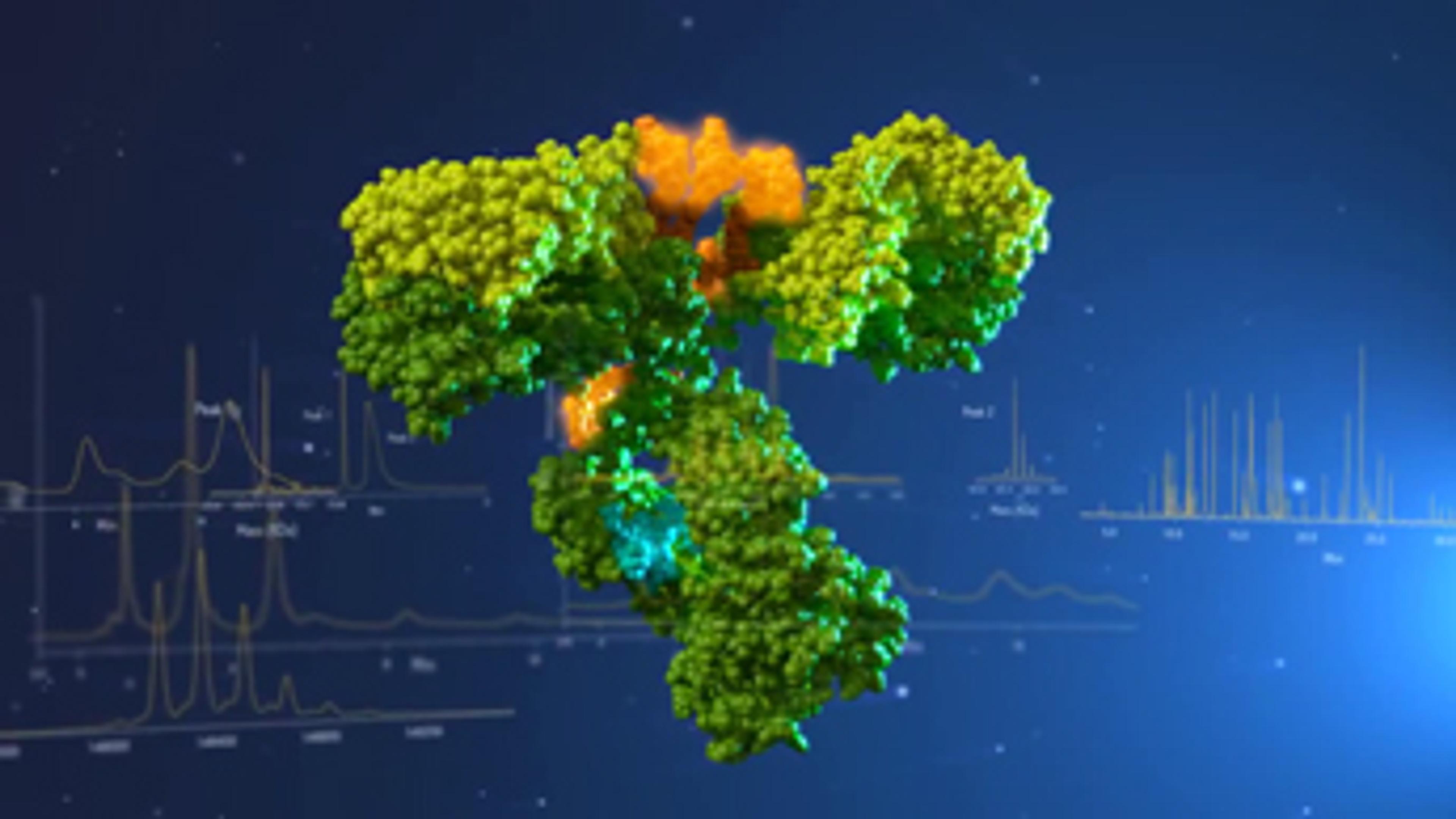 Analysis of Antibody Drug Conjugates Analysis of Antibody Drug Conjugates