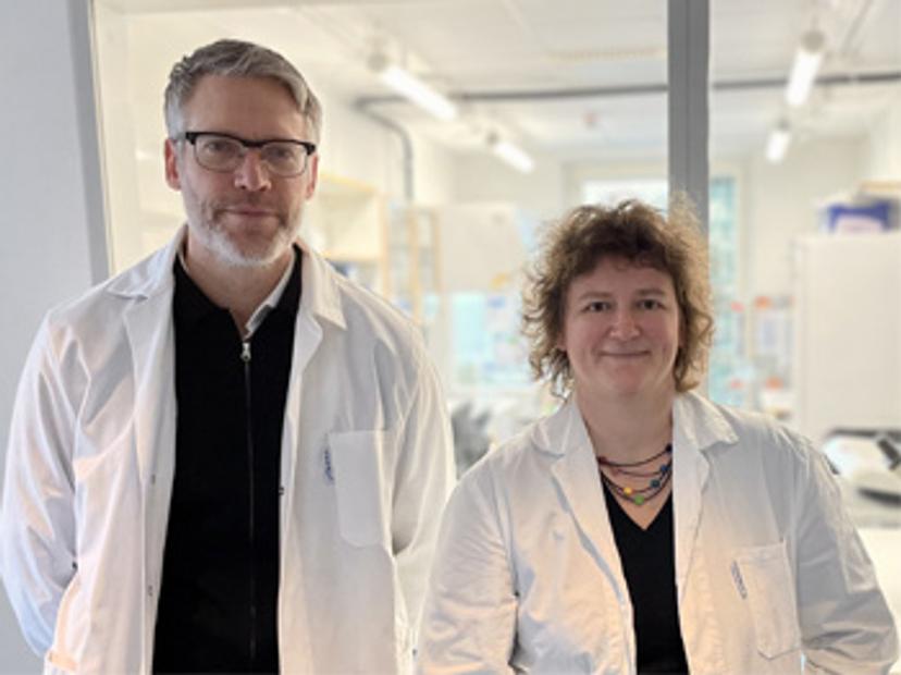 Dr. Niklas Finnberg, Head of Non-clinical, and Dr. Dorota Klaczkowska, Non-clinical Senior Scientist, Xbrane Biopharma