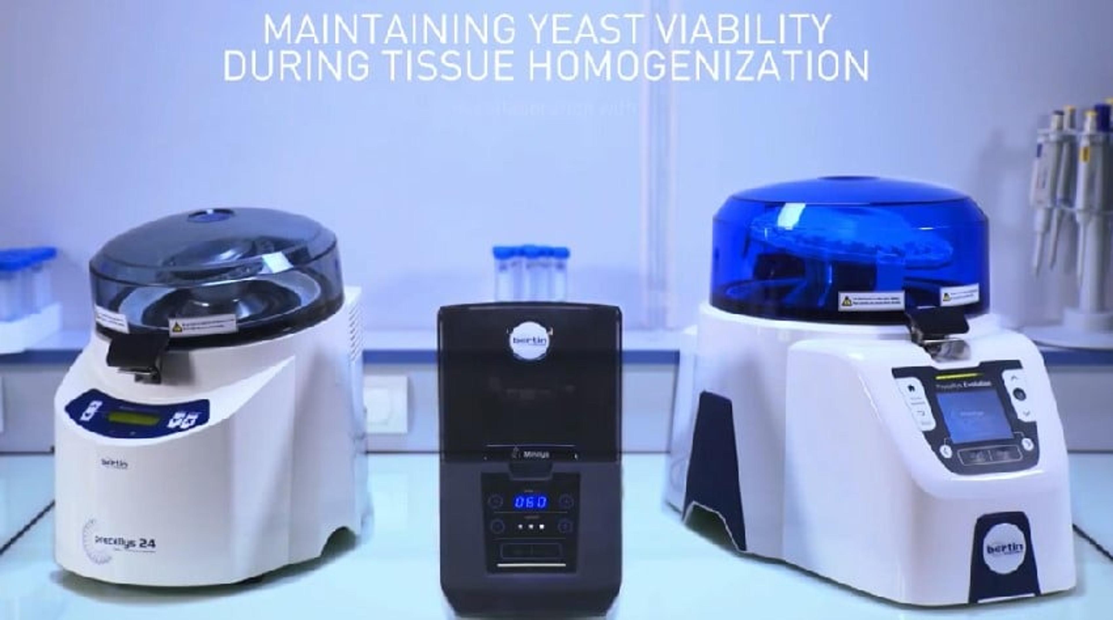 Maintaining Yeast Viability During Tissue Homogenization Maintaining Yeast Viability During Tissue Homogenization