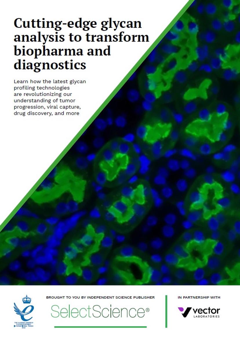 Vector Labs - Cutting-edge glycan analysis - SelectScience eBook