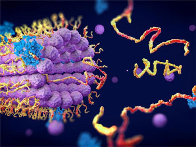 Harnessing the power of label-free molecular interaction analysis