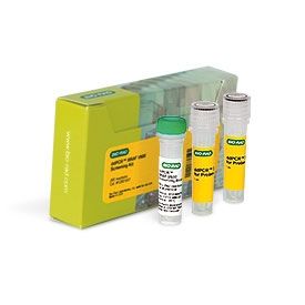 Buy ddPCR™ BRAF V600 Screening Kit Read Reviews