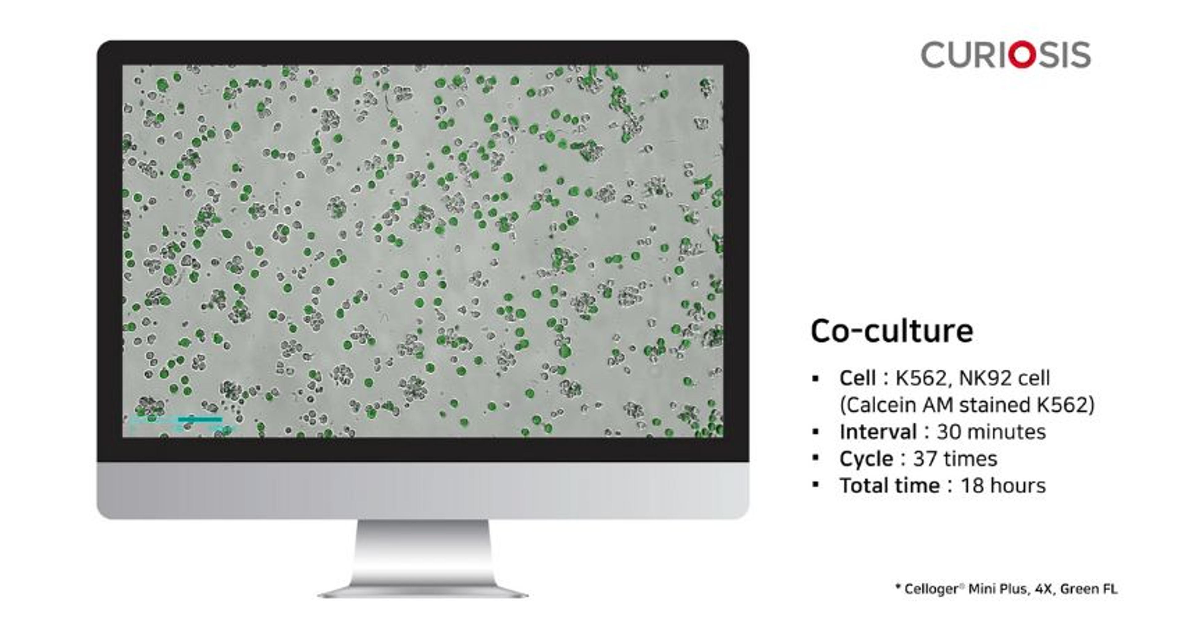 Celloger Mini Plus application: Co-culture Celloger Mini Plus application: Co-culture