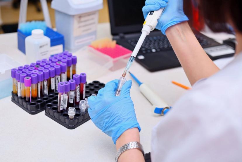 Scientist processing blood samples in hospital laboratory