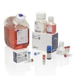 Expi293™ Inducible Expression System Kit