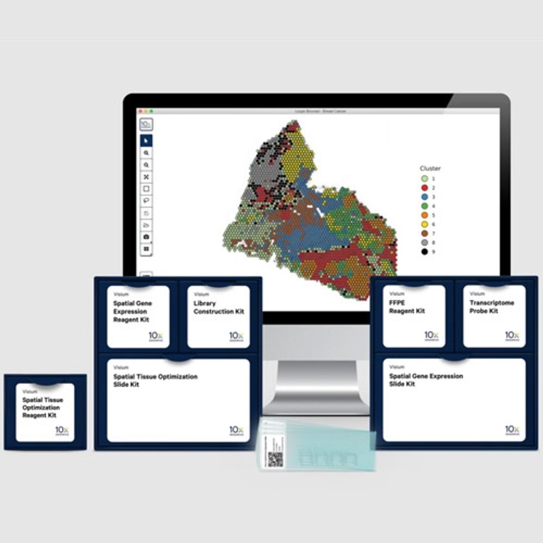 Visium Spatial Gene Expression