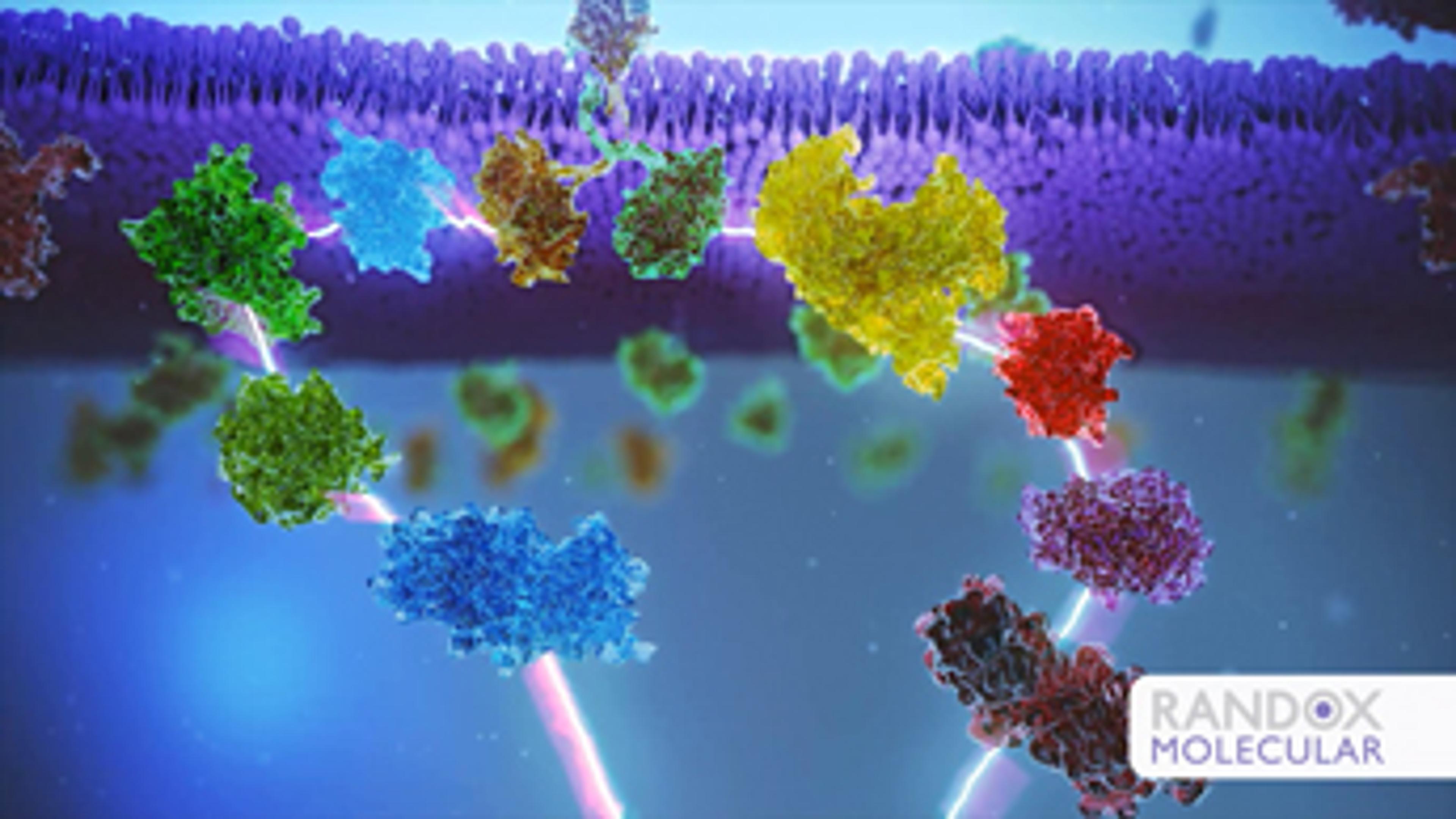 KRAS / BRAF / PIK3CA Array Enables Selection of Patients for Anti-EGFR Therapy KRAS / BRAF / PIK3CA Array Enables Selection of Patients for Anti-EGFR Therapy
