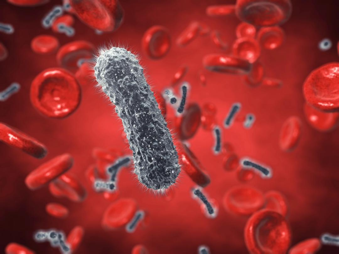 CLINICAL24 Sepsis Spotlight