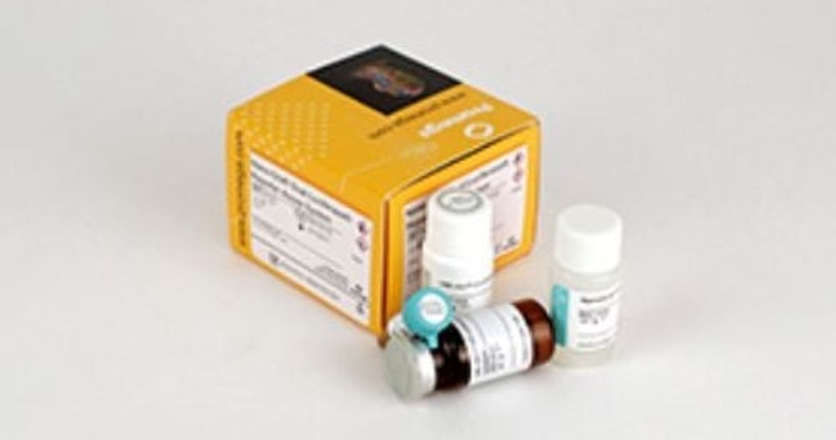 Nano-Glo® Dual-Luciferase® Reporter Assay System