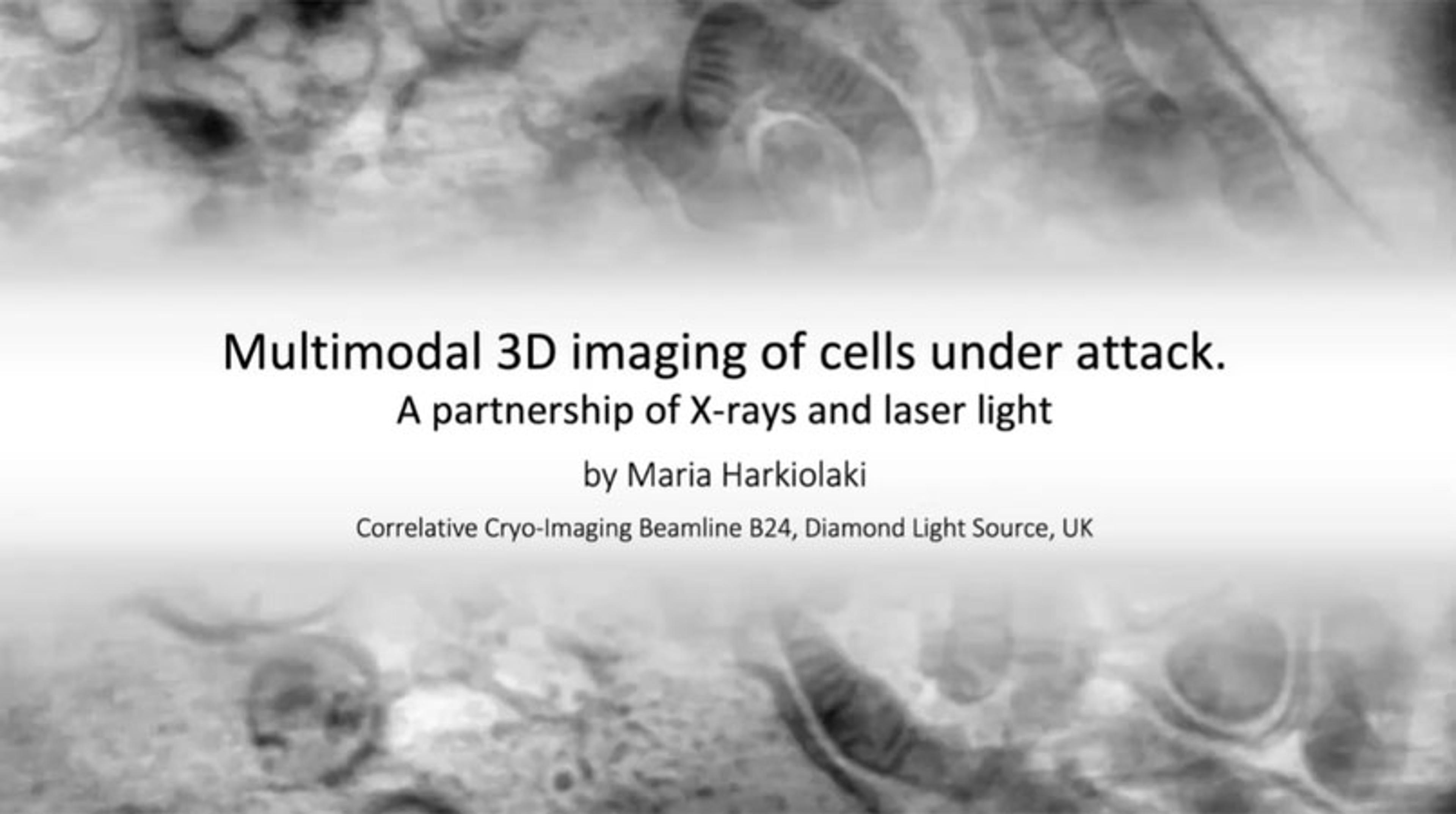 Super-resolution 3d cryo-fluorescence imaging Super-resolution 3d cryo-fluorescence imaging
