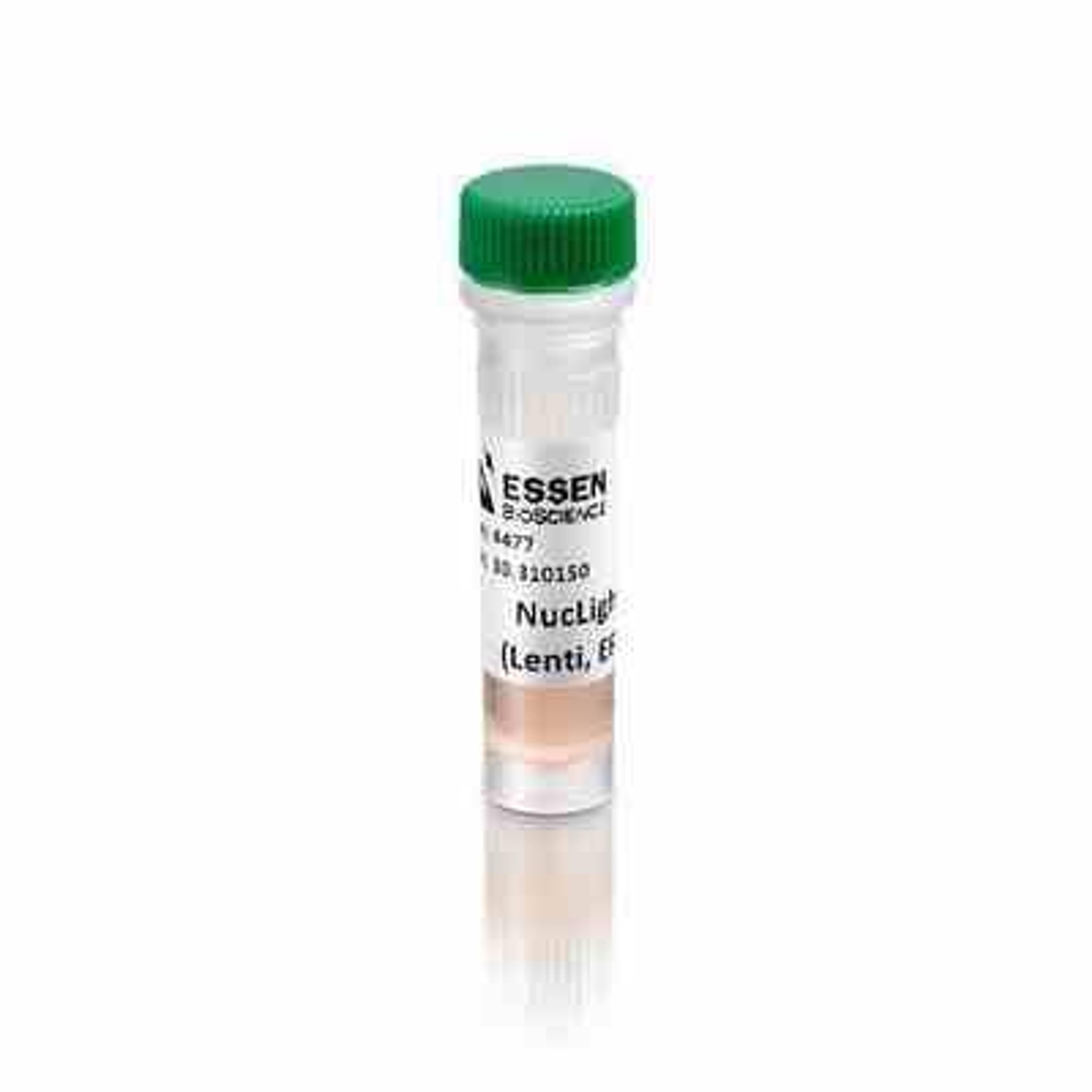 Cytotox Green for counting dead cells